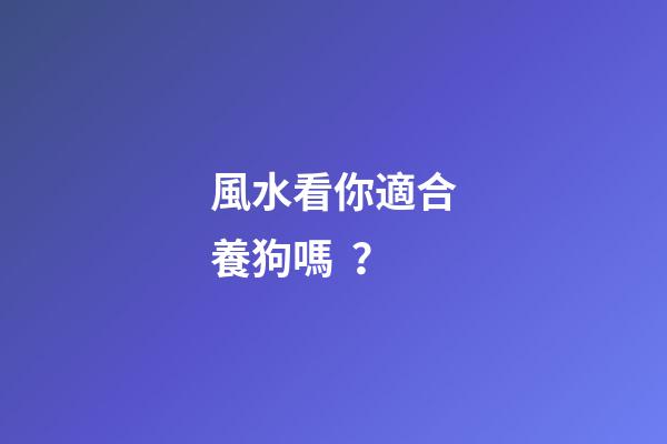 風水看你適合養狗嗎？